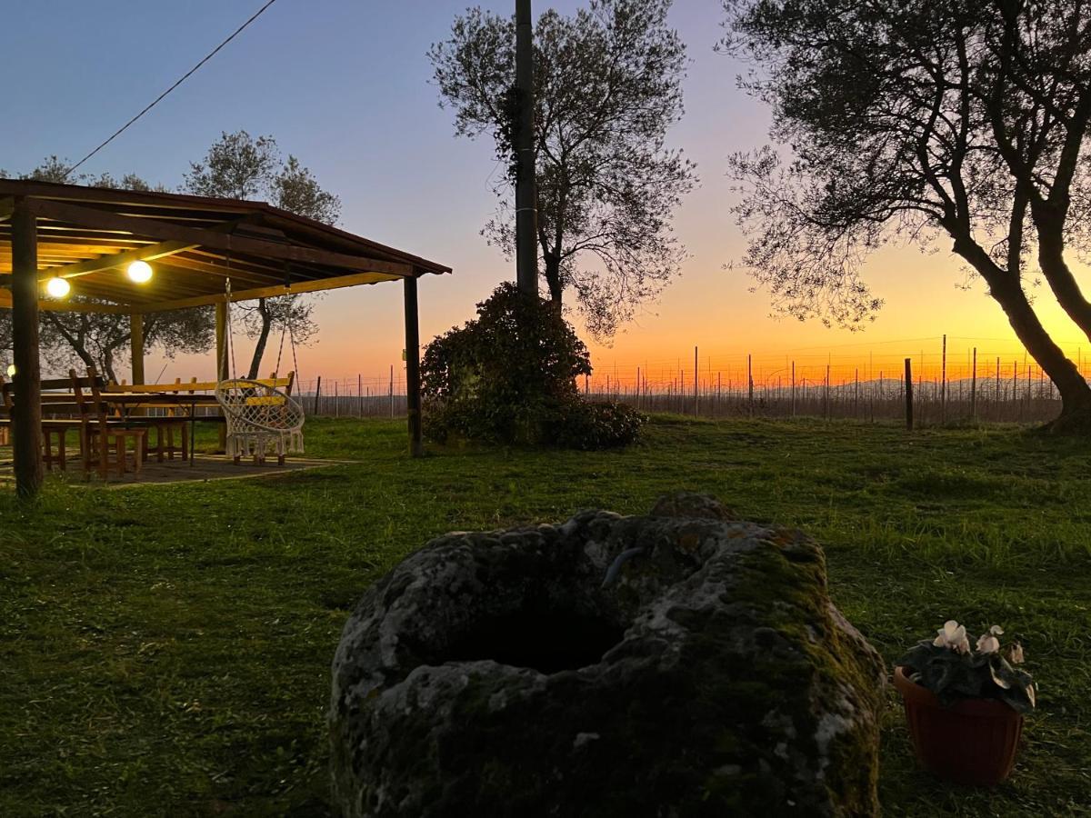 Agriturismo Tenuta Roccaccia Pitigliano Dış mekan fotoğraf
