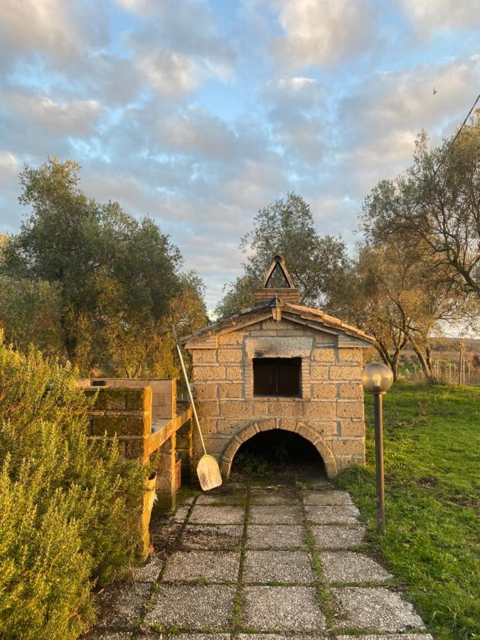 Agriturismo Tenuta Roccaccia Pitigliano Dış mekan fotoğraf