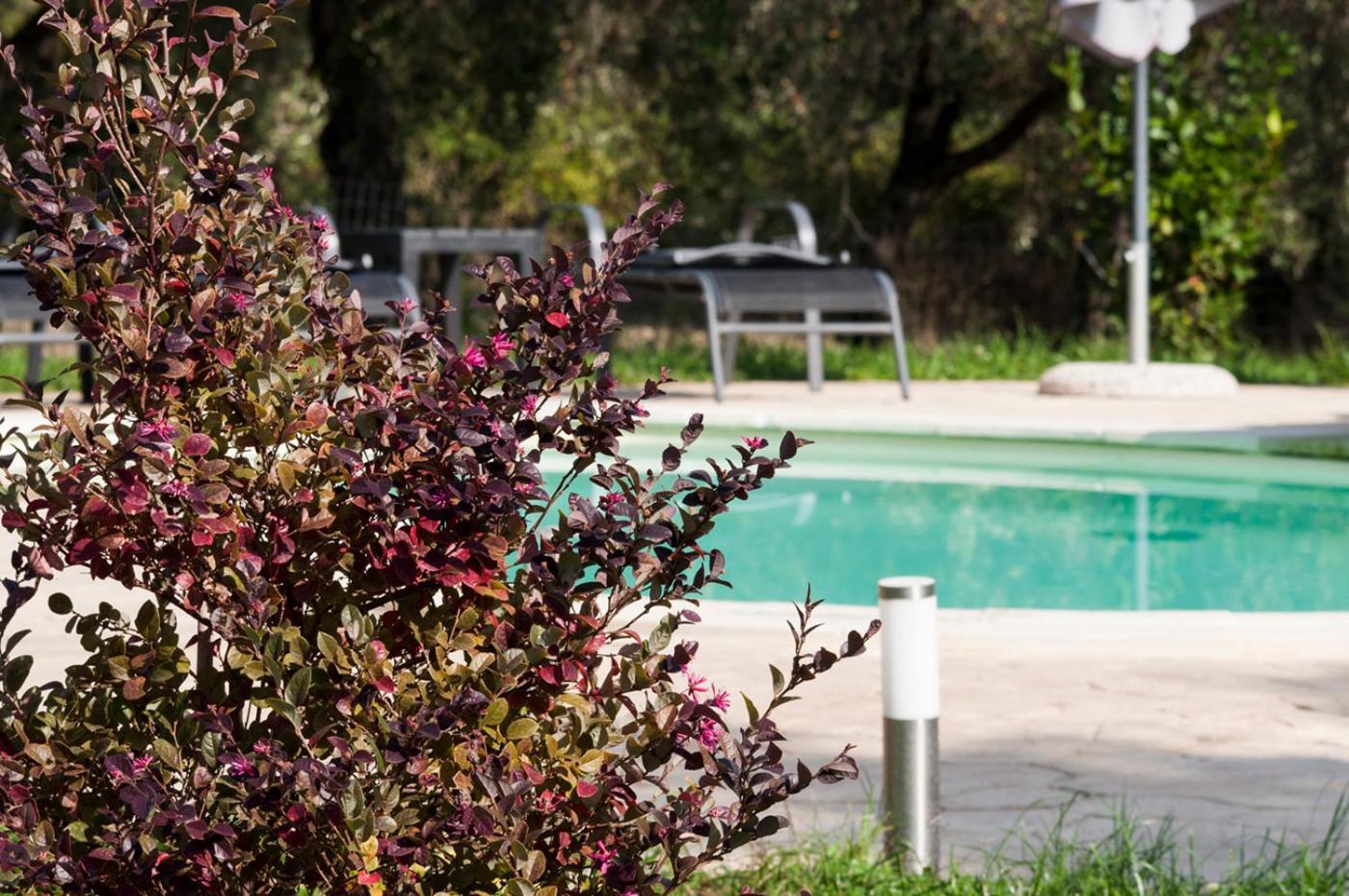 Agriturismo Tenuta Roccaccia Pitigliano Dış mekan fotoğraf