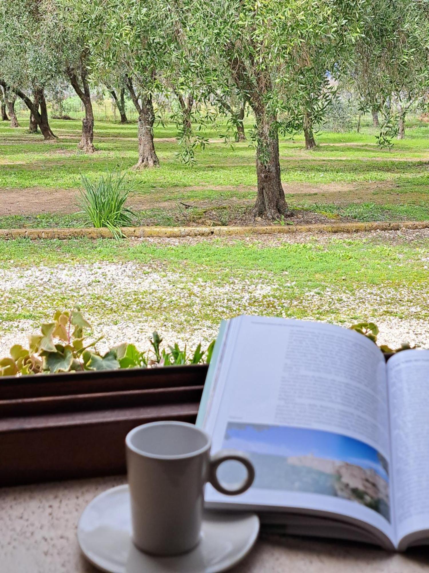 Agriturismo Tenuta Roccaccia Pitigliano Dış mekan fotoğraf
